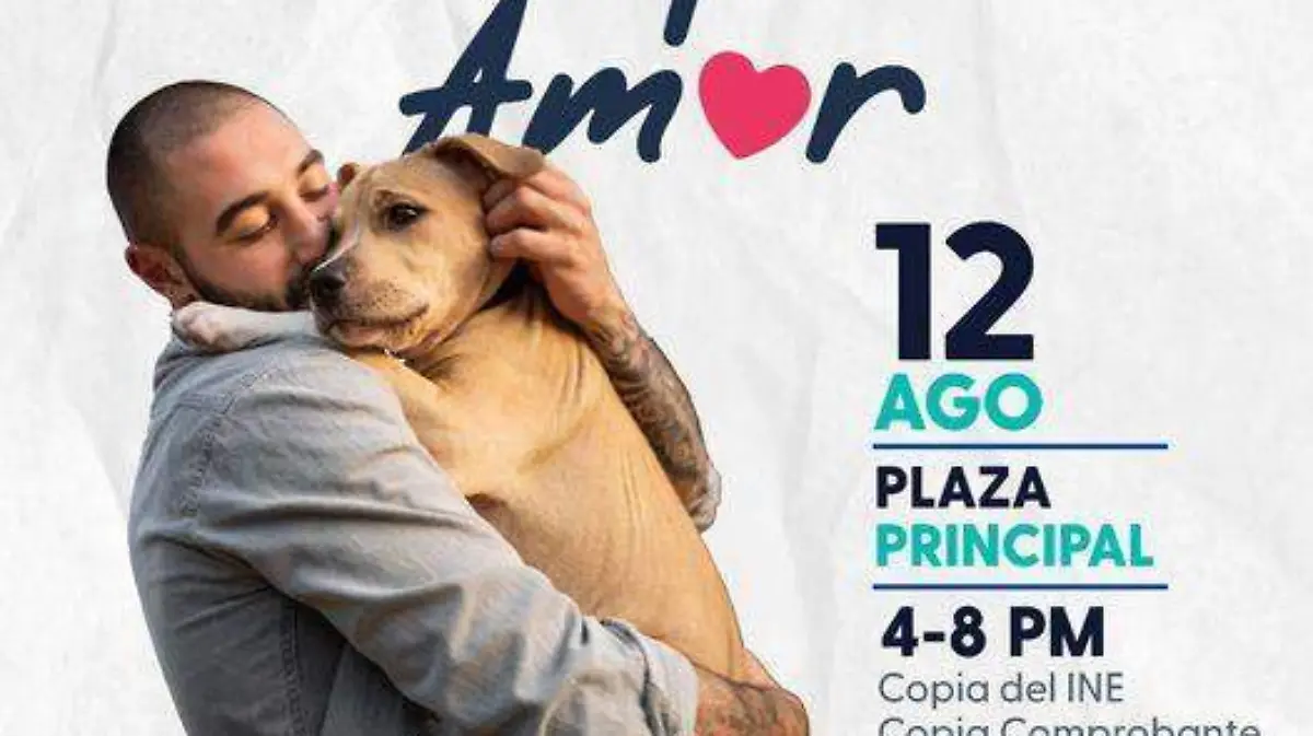 Adopta Amor